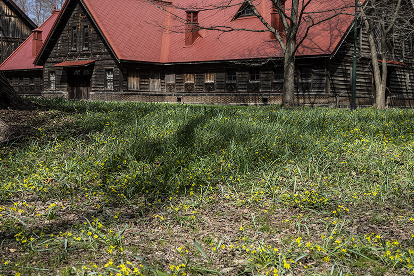 DSC07513-2.jpg