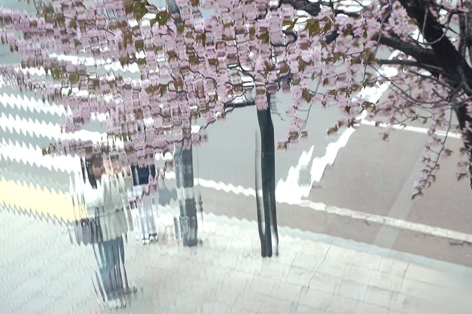 DSC08252 のコピー.jpg