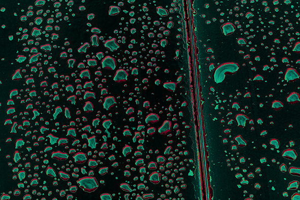 _54C0073.jpg
