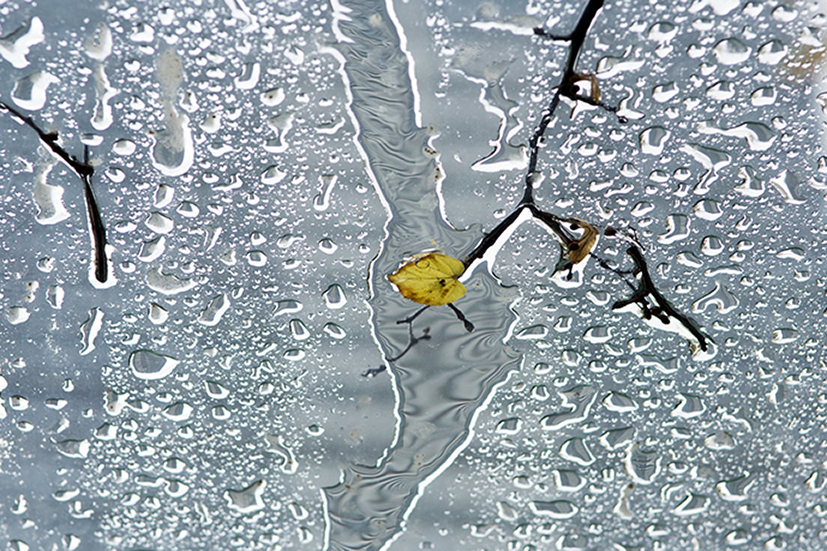 _54C2353.jpg
