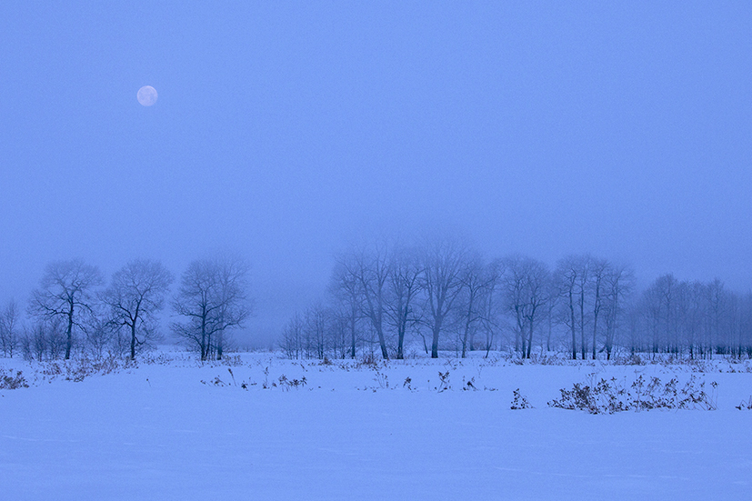 _MG_0305.jpg