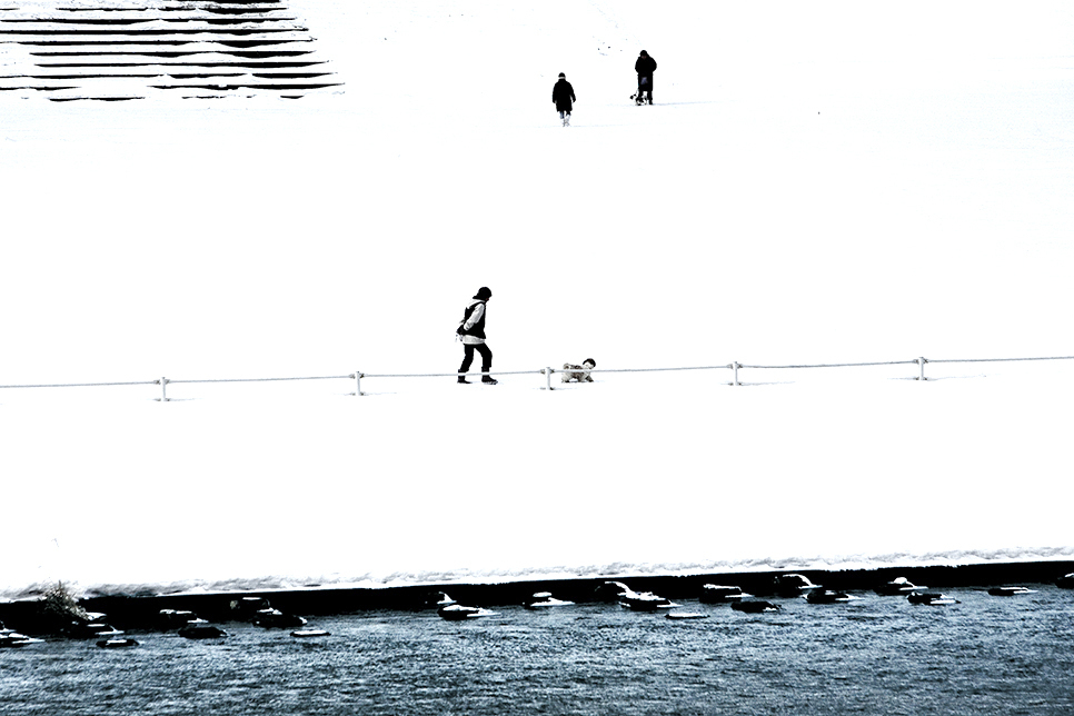_MG_3103.jpg