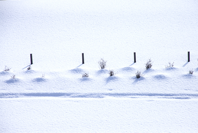 _MG_7087.jpg